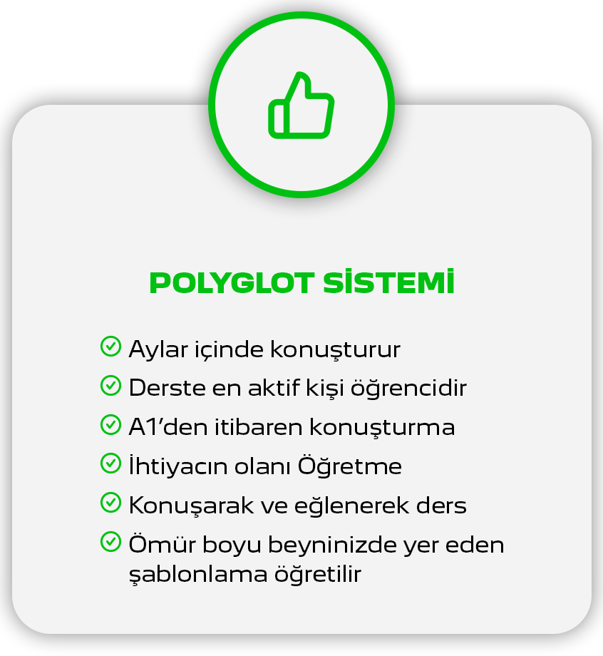 Diğer Dil Kursları 12 w polyglot sistemi min